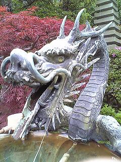 f486c496.jpg