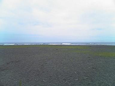 f8f8832e.jpg