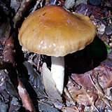 86d6793b.jpg