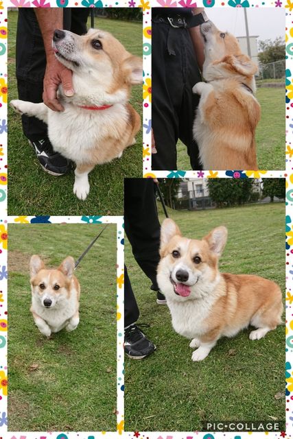 Collage 2019-03-20 21_58_12