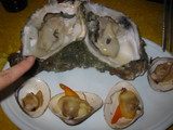 巨大な牡蠣