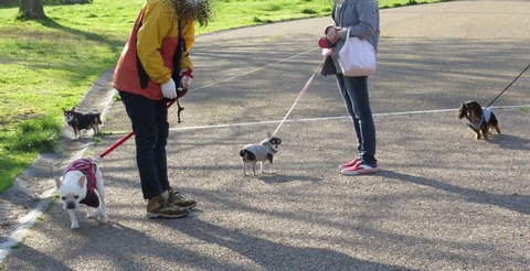 IMG_33125
