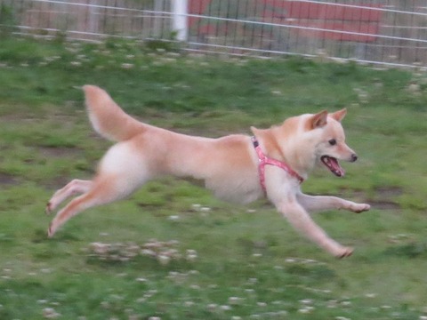 IMG_4699
