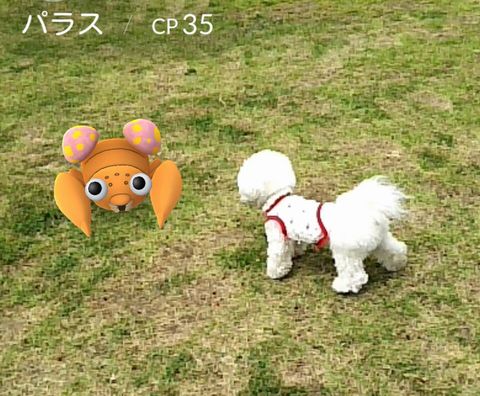 poke