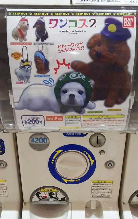 wan