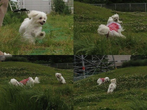 run2