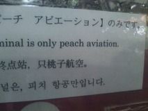桃子航空