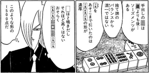 八崎安ブラフ2