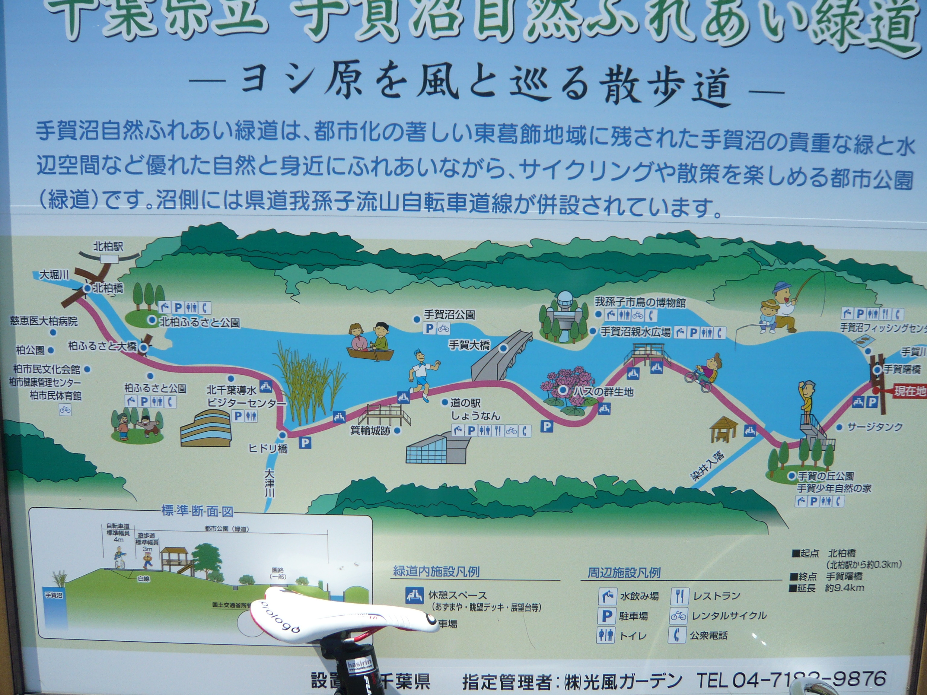 橋輪 : 手賀沼散歩 - livedoor Blog ...