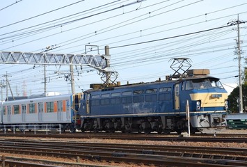 DSC_0147_101430