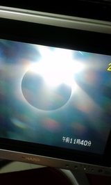 ff3d3631.jpg