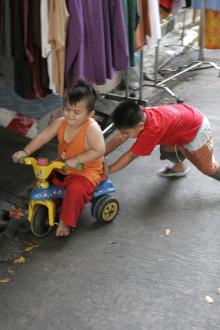 2006_11_29_ͷ�ֻҶ�