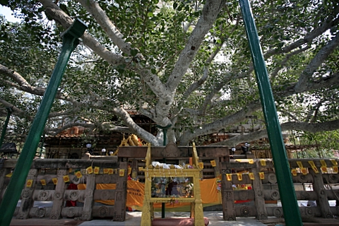 2006_11_24_�����