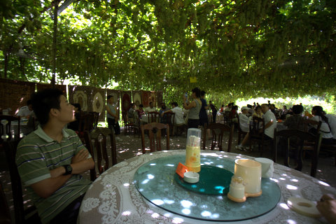 2007_08_14_�ȥ�ե���_��ƺ�β��ο���