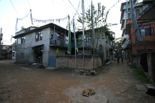 2006_11_16_����