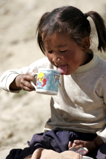 2006_10_31_���������