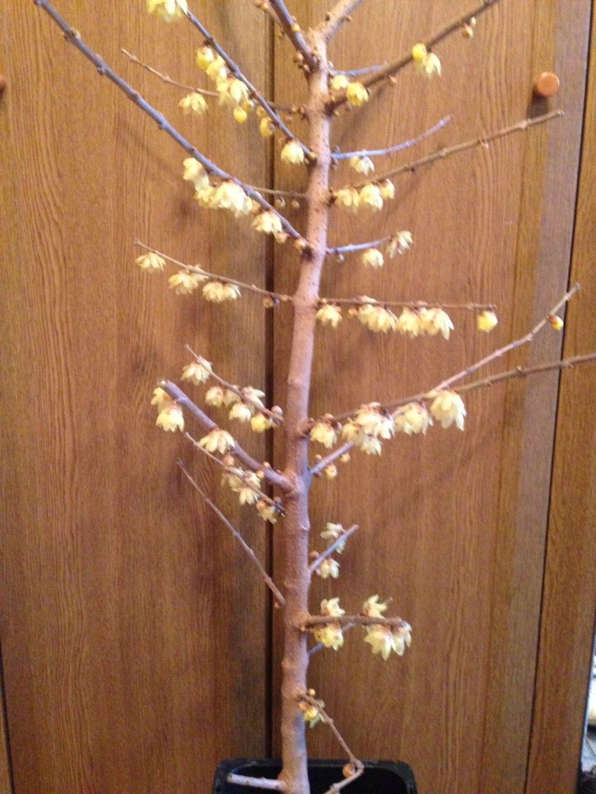 画像1