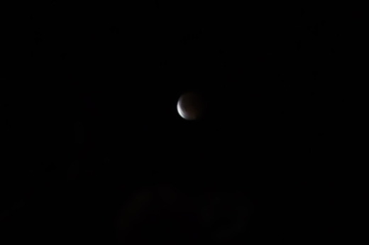 CSC_0481