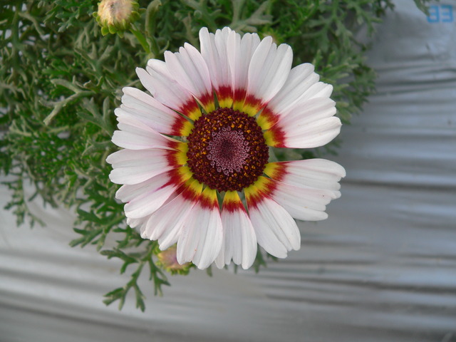 P1420765