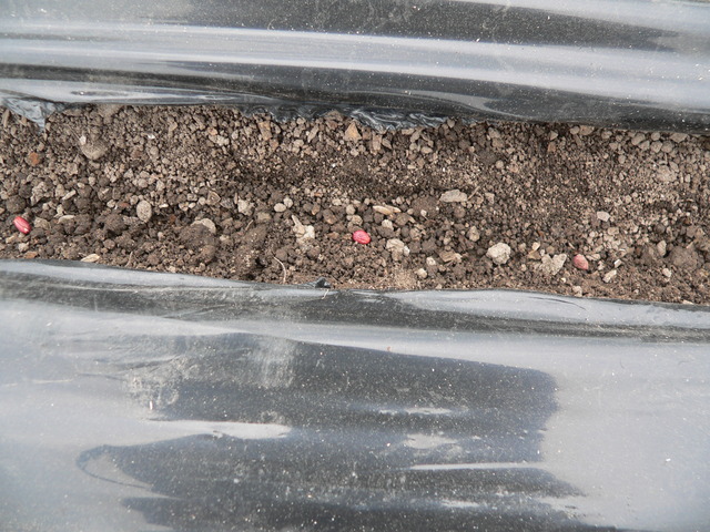 P1440104