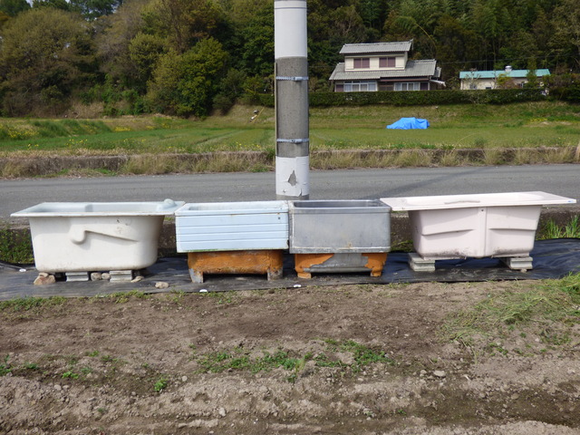 P1030754