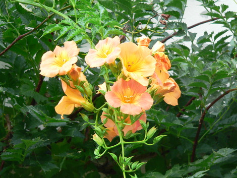 P1340753