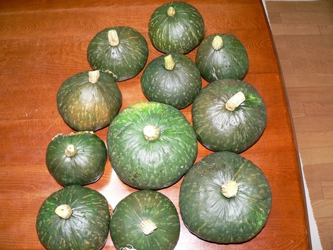 p1120008