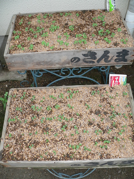P1340716