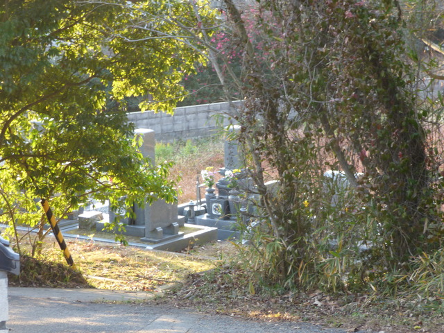P1020260