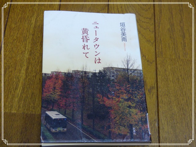 P1070779_Fotor