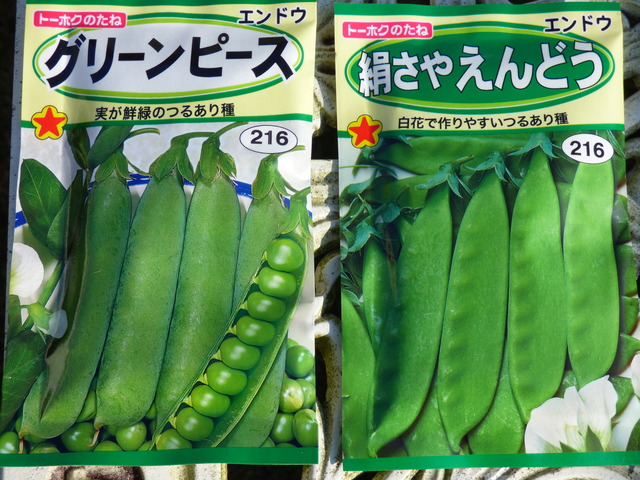 P1010012