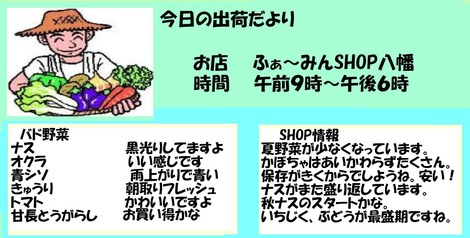 野菜だより八幡その2