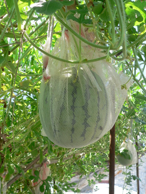 P1340690