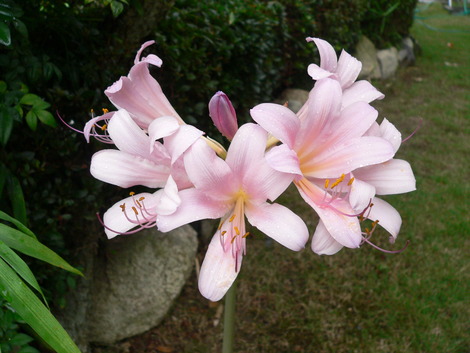 P1340877
