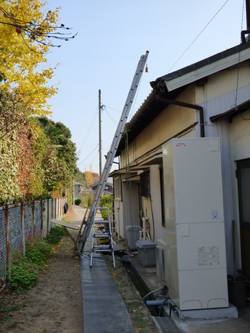 P1010560