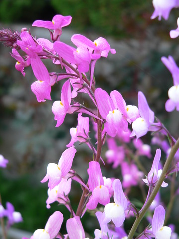 P1400412