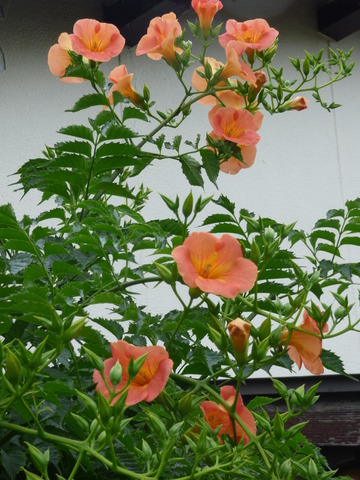 P1080379