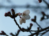 2015_0326_171243-P1000666