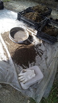 150323月・発芽用土準備1