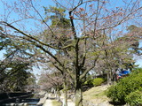 2015_0327_142331-P1000683