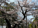 2015_0328_131014-P1000688