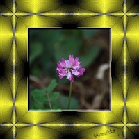 飾りタイル-蓮華草