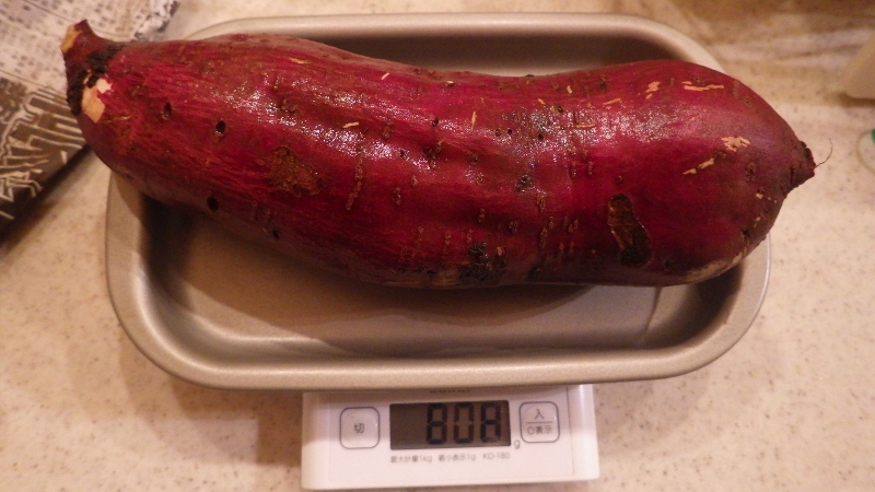 RIMG6588 (800x450)