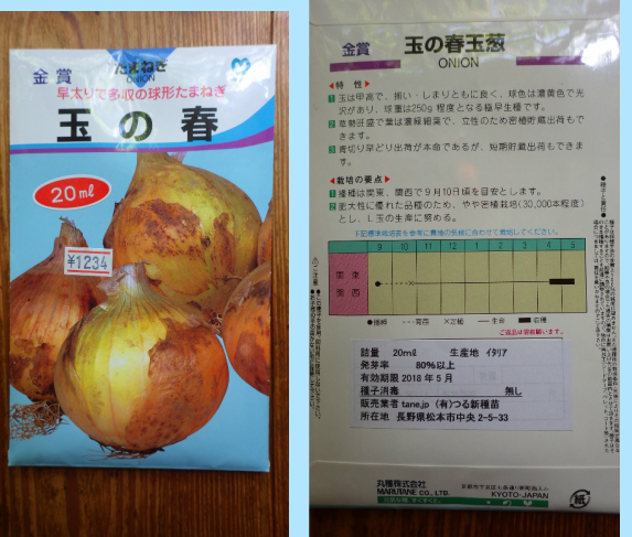 玉ねぎ