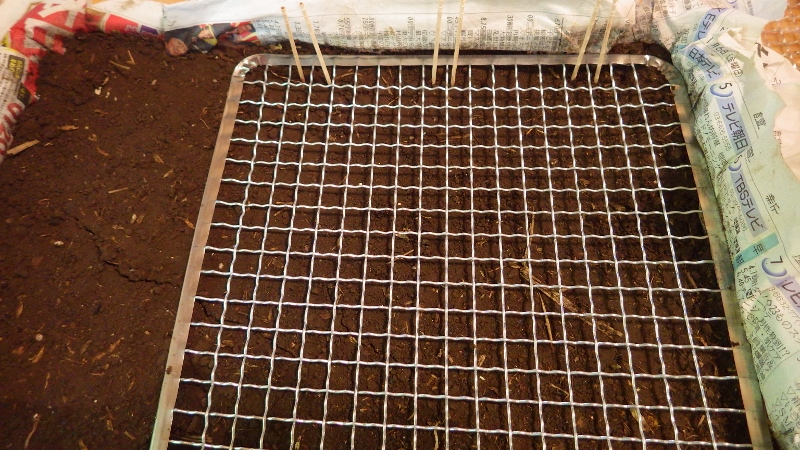RIMG5805 (800x450)