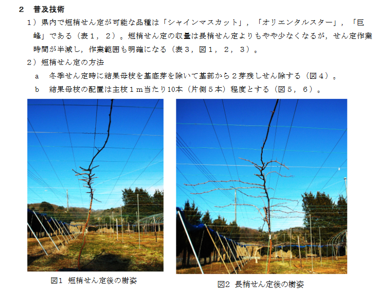 Screenshot-2018-2-13 Taro-H22技術-園芸栽培-果樹(高 - 69599 pdf