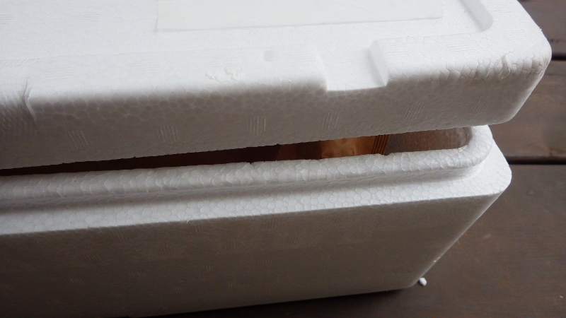 RIMG6219 (800x450)