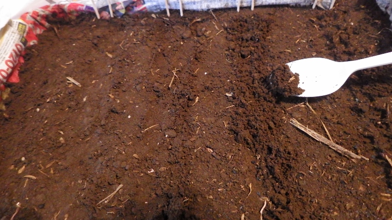RIMG5815 (800x450)
