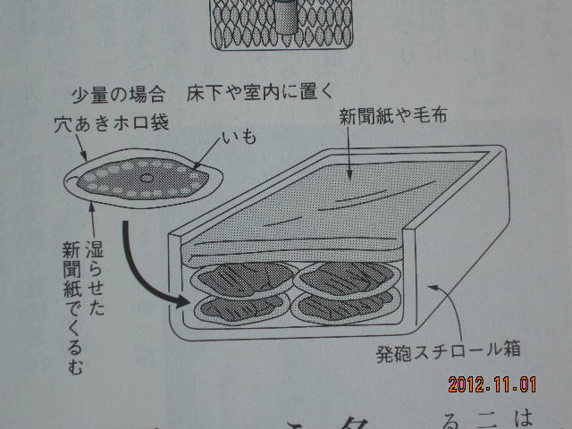 5d123ff1