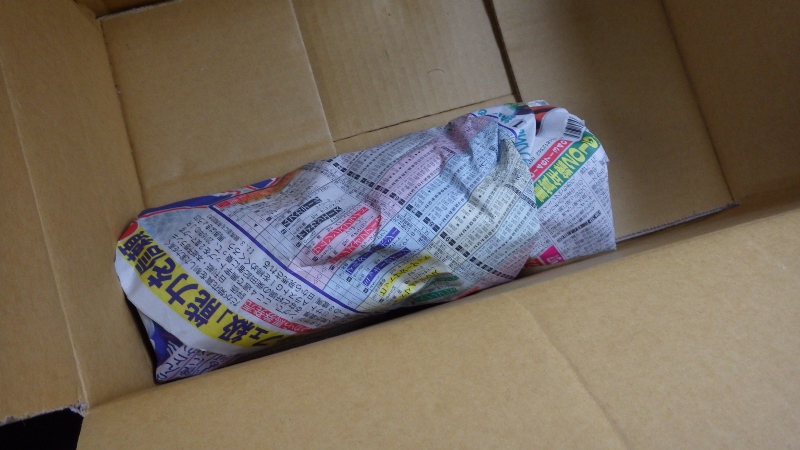 RIMG6257 (800x450)